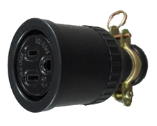 Taiwanese 11 Taiwanese socket